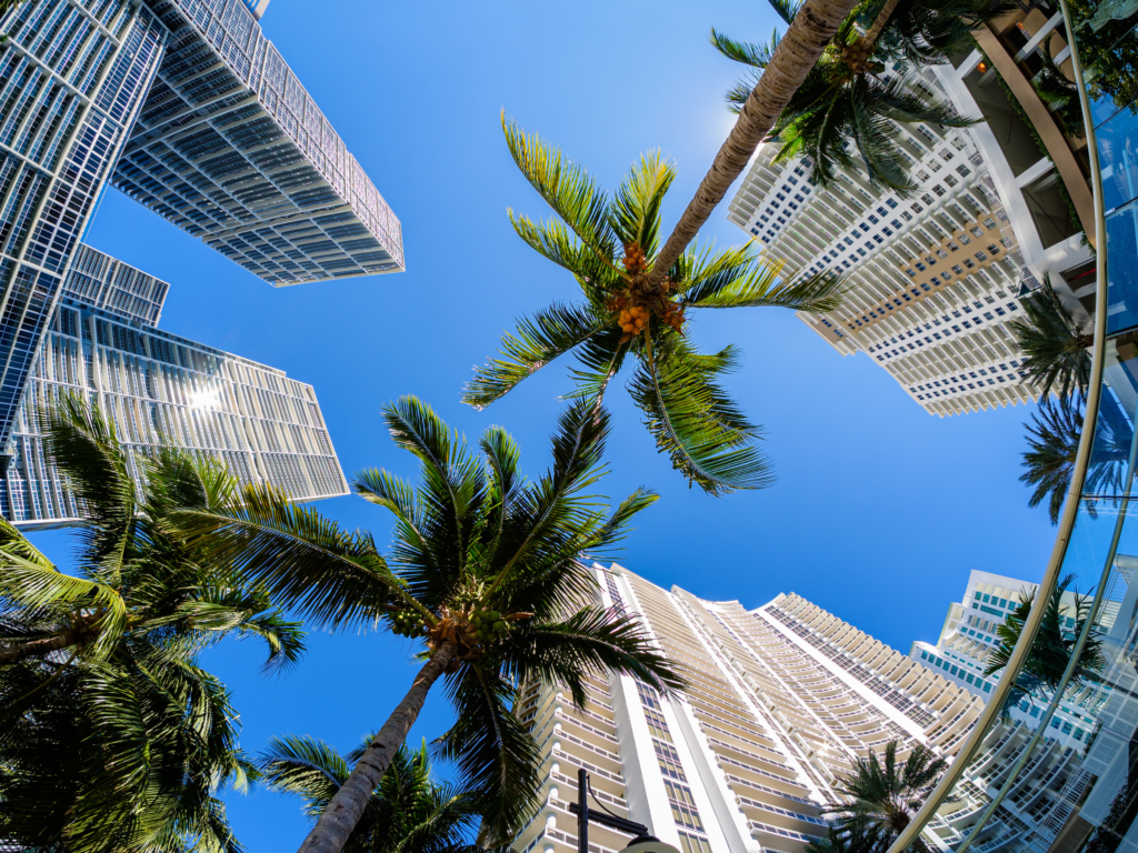 601Exclusive VIP miami concierge portal